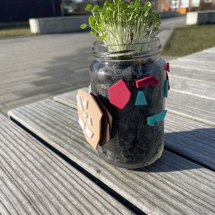 Ein mit Moosgumi verzierter Glastopf aus dem Rucolla wächst (vergrößerte Bildansicht wird geöffnet)