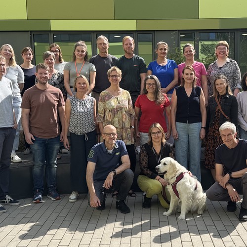 Kollegium mit Golden Retriever Hündin