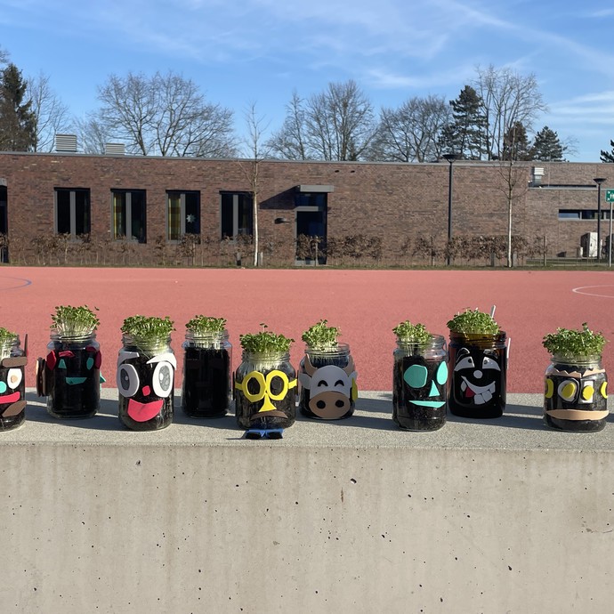 Zehn verzierte Rucollablumentöpfe vor dem Sportplatz (vergrößerte Bildansicht wird geöffnet)