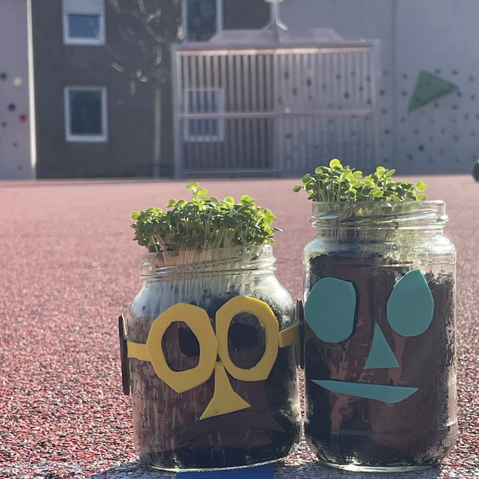 Zwei mit Gesichtern verzierte Glastöpfe mit Pflanzen darin (vergrößerte Bildansicht wird geöffnet)