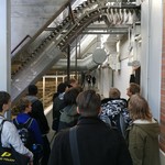 vergrößerte Bildansicht wird geöffnet