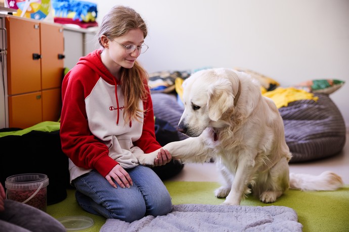 Golden Retriever Hündin Aimy legt ihre Pfote auf das Bein einer Schülerin. Diese stützt die Pfote mit ihrer Hand von unten.