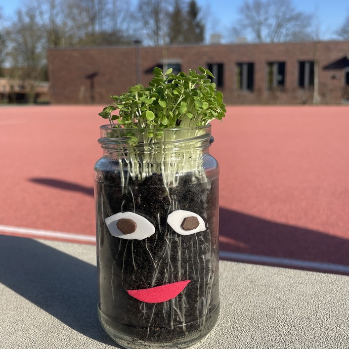 Ein Blumentopf aus Glas mit einem lustigen gestalteten Gesicht. (vergrößerte Bildansicht wird geöffnet)