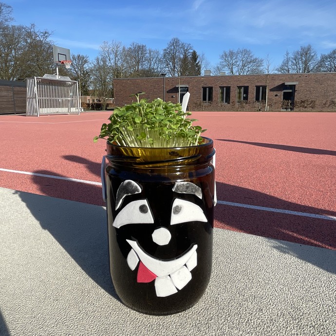 Ein Gesicht auf einem Glastopf aus dem Ruccolapflanzen wachsen. (vergrößerte Bildansicht wird geöffnet)