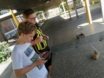 vergrößerte Bildansicht wird geöffnet