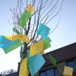 vergrößerte Bildansicht wird geöffnet