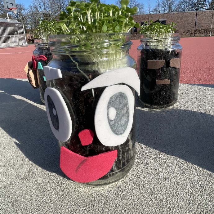 Drei mit Gesichtern verzierte Gläser, in denen Ruccolapflanzen wachsen (vergrößerte Bildansicht wird geöffnet)