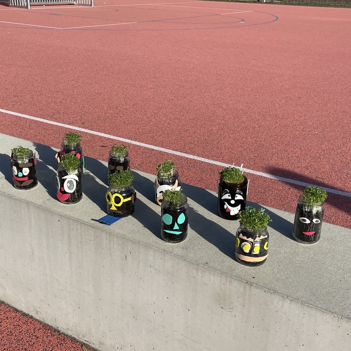 Zehn mit Gesichtern verzierte Gläser, aus denen Ruccolapflanzen wachsen (vergrößerte Bildansicht wird geöffnet)