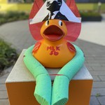 vergrößerte Bildansicht wird geöffnet
