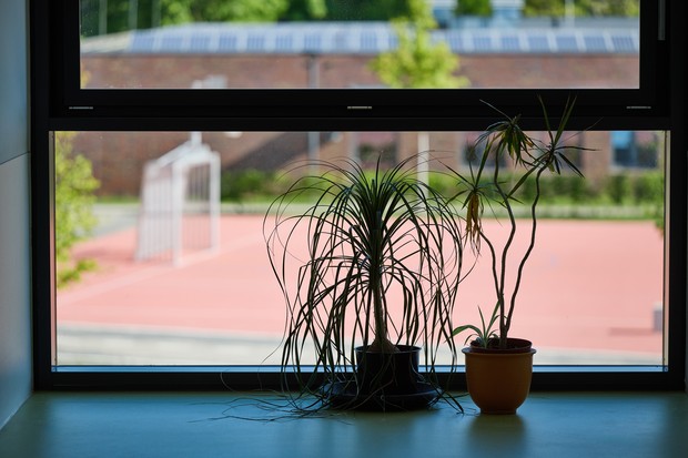 Zwei Topfpflanzen auf der Fensterbank mit Ausblick  nach draußen zum Sportplatz