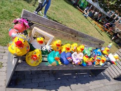Viele bunte Plastikenten auf einer Bank